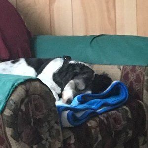 Meet your Posher, Audrey